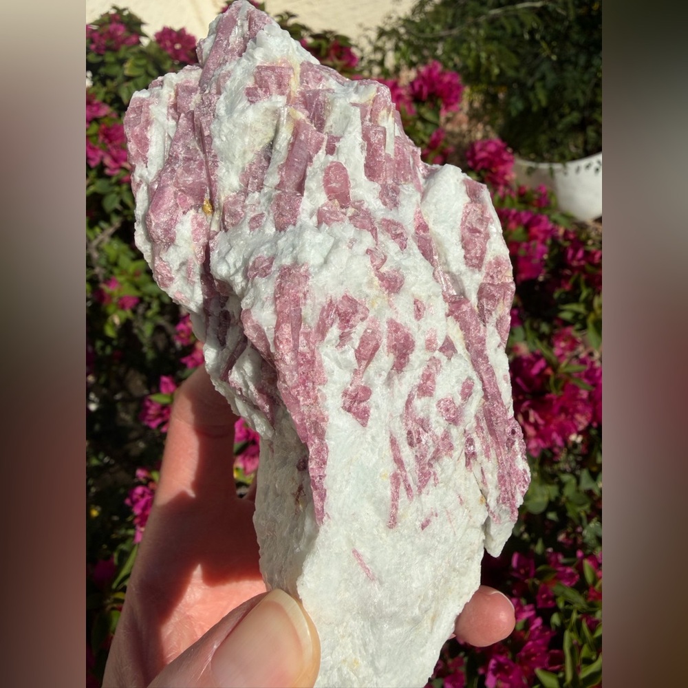 Pink Tourmaline in Quartz on Stand - Picture 8 of 9